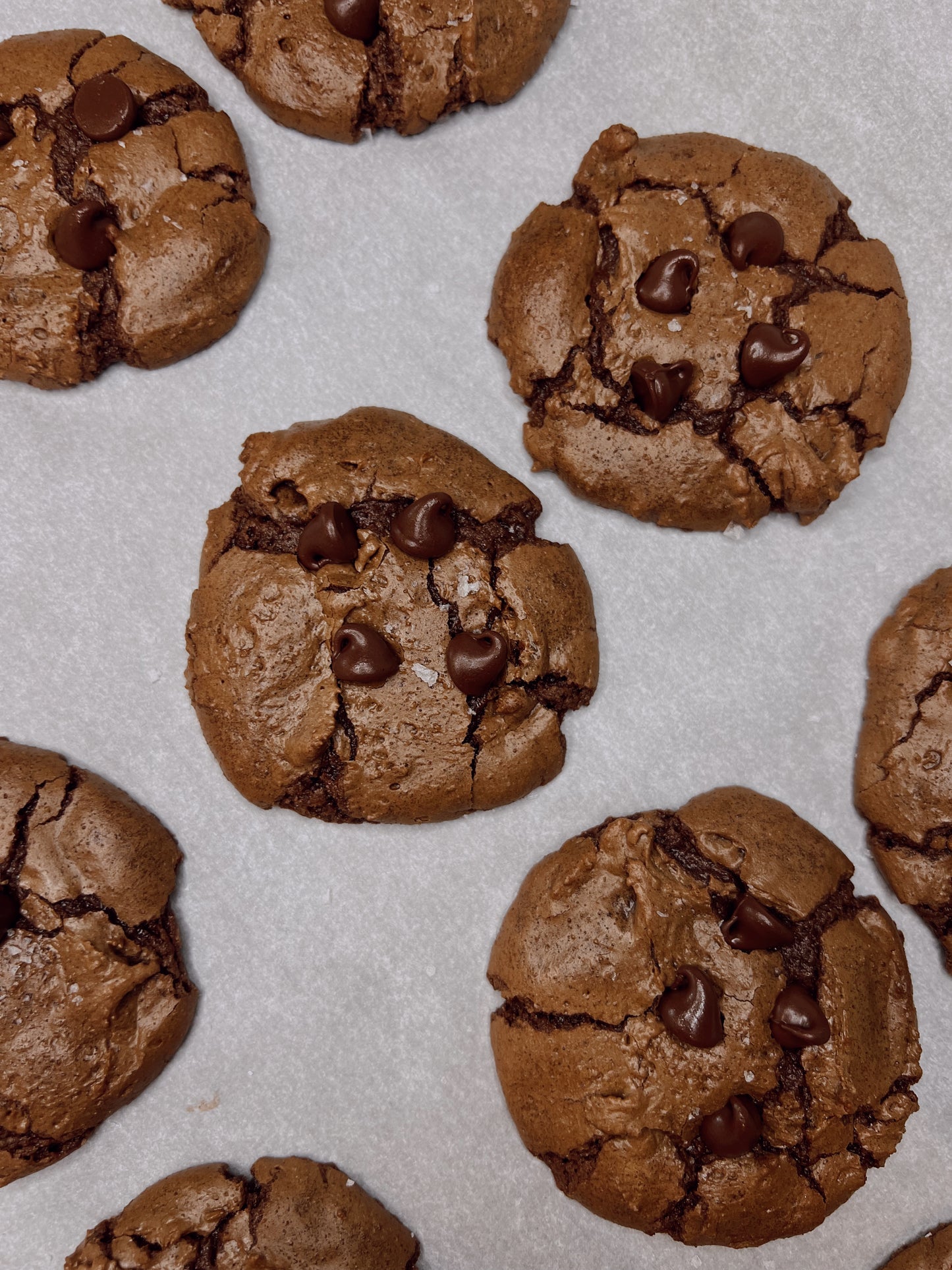 Mudpie cookie. A chocolate lovers dream, this cookie is the perfect cross between a gooey brownie and chocolate cookie.